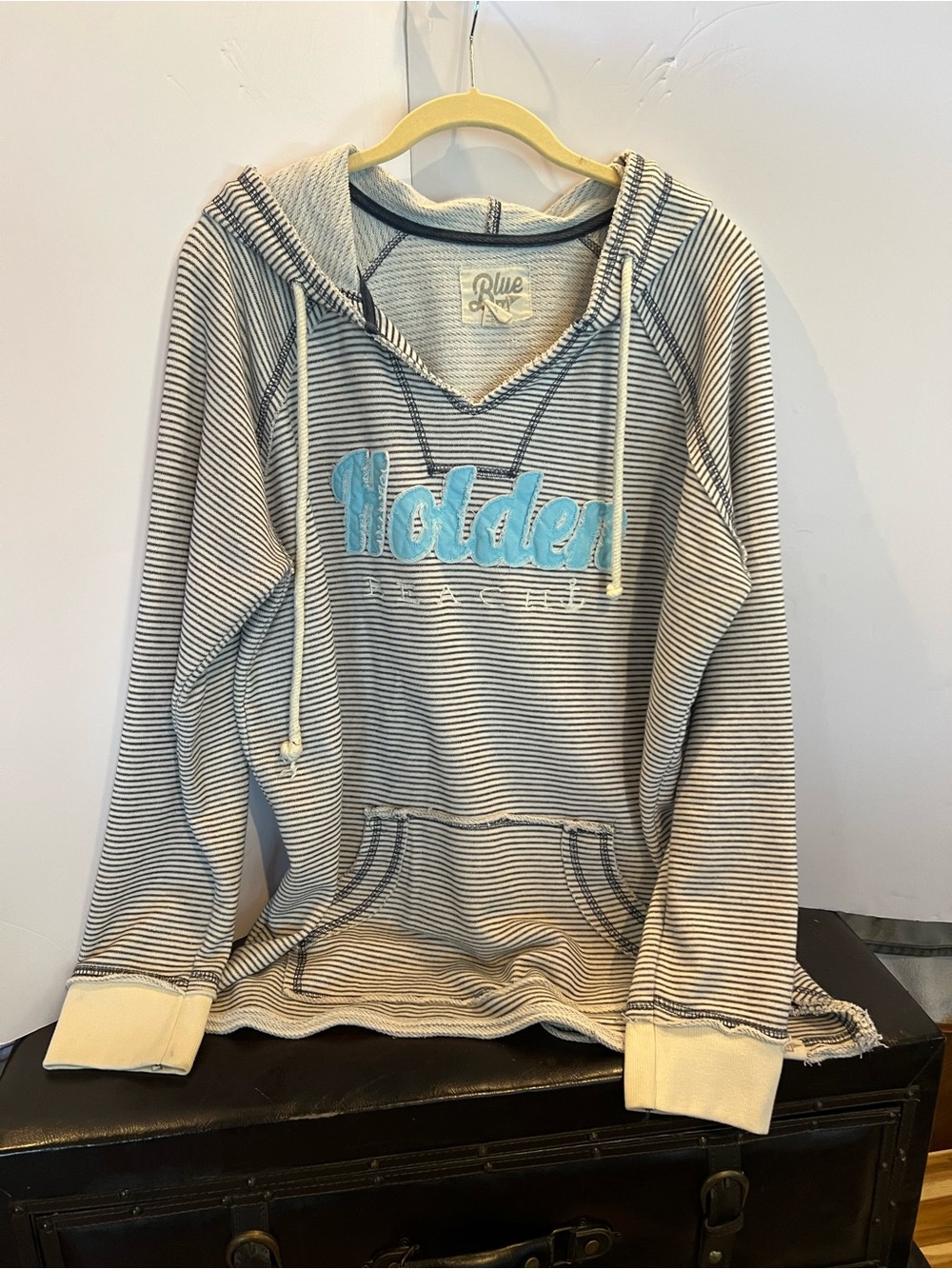 Blue 84 Striped Hoodie with Aqua 'Holden' Script